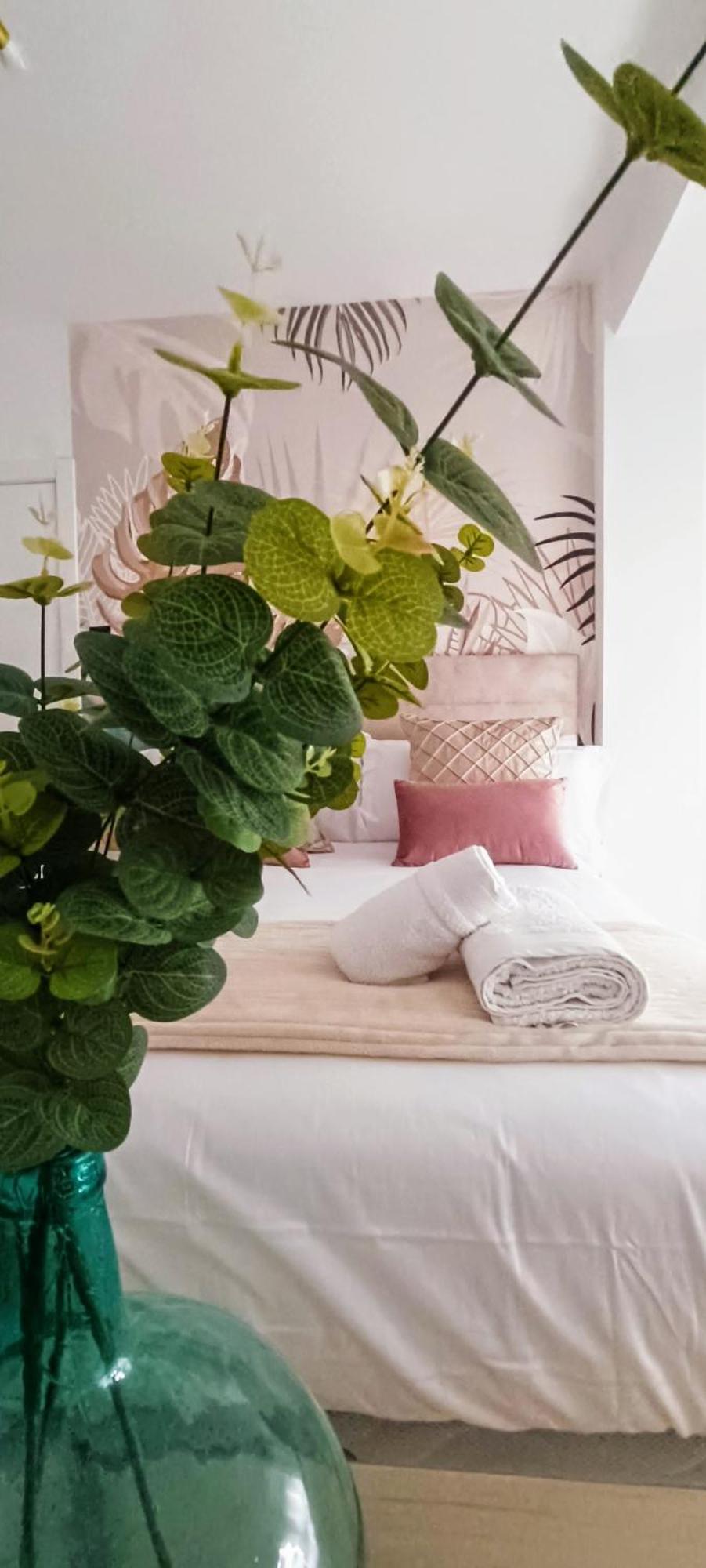 Apartamento Centro Ancha De Gracia Гранада Екстериор снимка